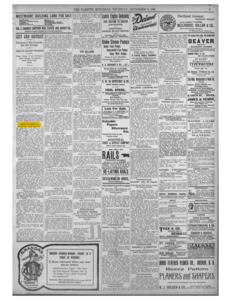 Newspaper article by Edith Eaton about the Wing Sing family